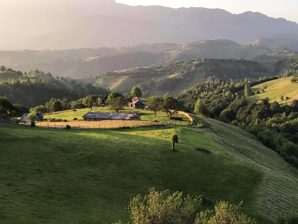 Pensiunea Casa Boiereasca Peştera Dış mekan fotoğraf